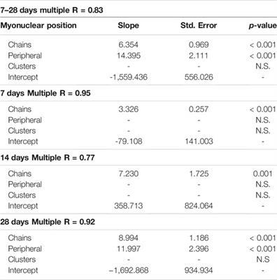 Positional Context of Myonuclear Transcription During Injury-Induced Muscle Regeneration